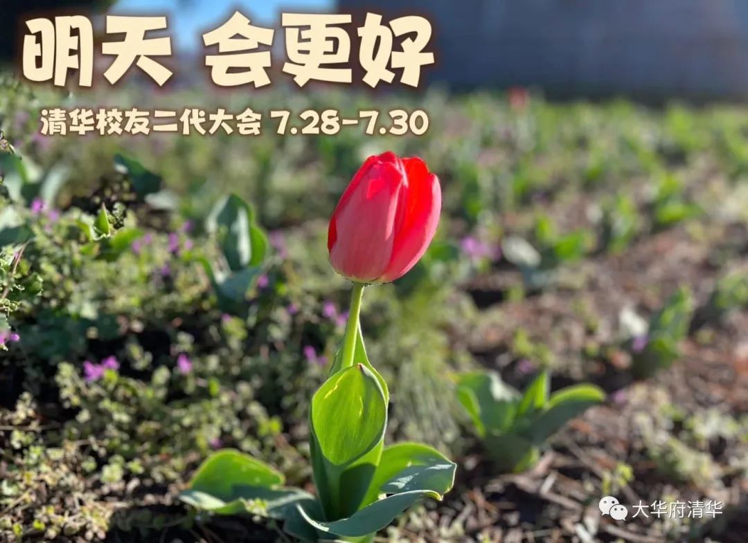 首届北美清华校友二代大会调查问卷